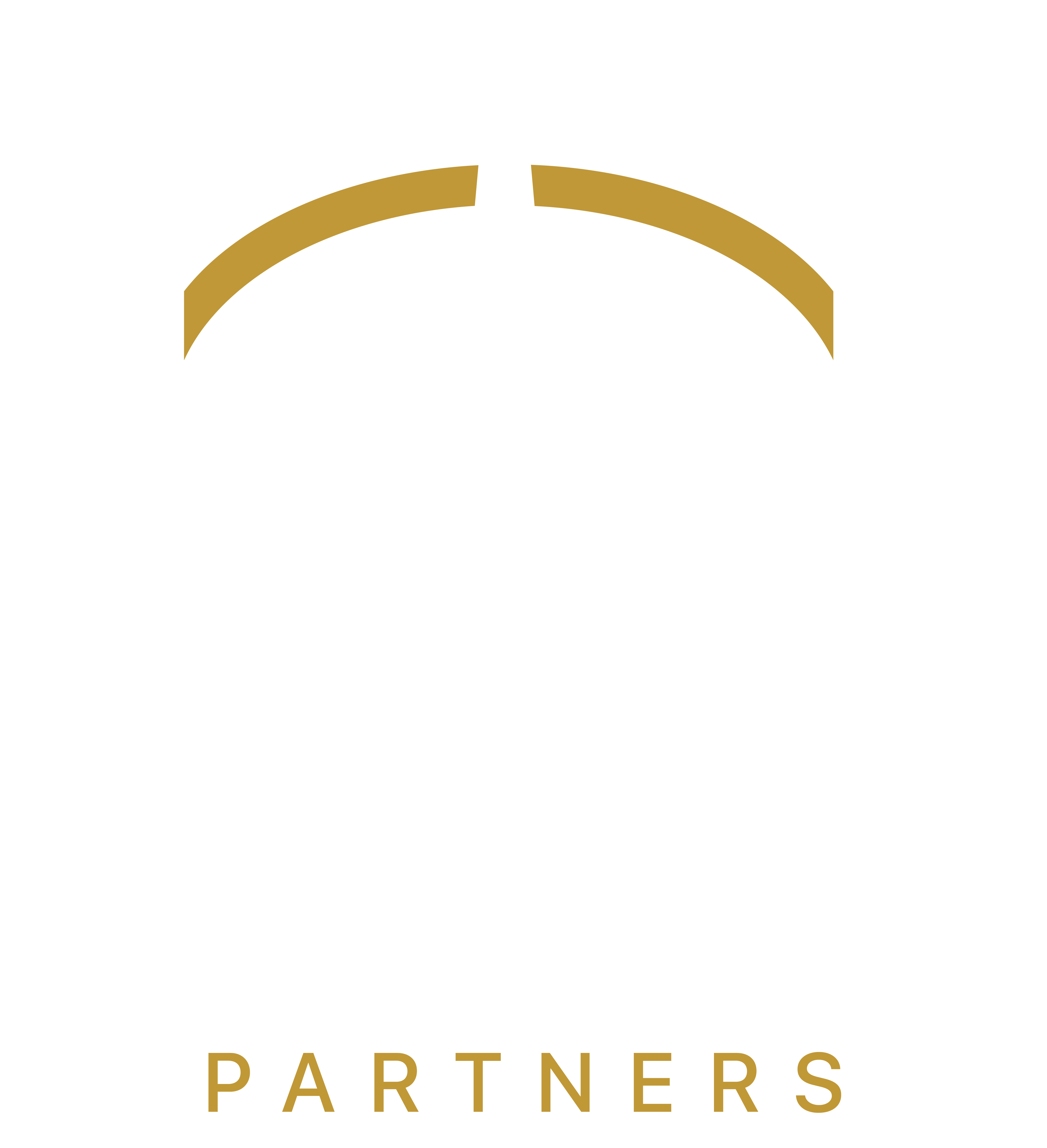 ControlArc Partners